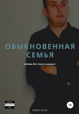 Павел Ежов Обыкновенная семья обложка книги