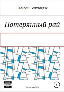 Самсон Гелхвидзе Потерянный Рай обложка книги