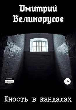 Дмитрий Великорусов Юность в кандалах обложка книги