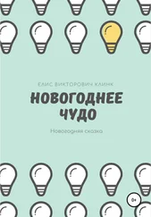 Елисей Клинк - Новогоднее чудо!