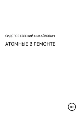 Евгений Сидоров Атомные в ремонте обложка книги