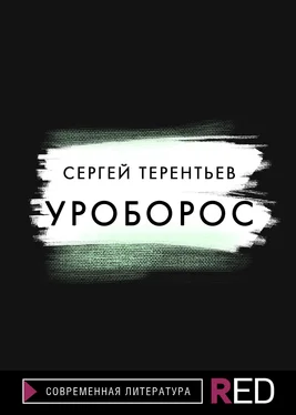 Сергей Терентьев Уроборос обложка книги