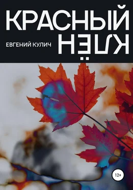 Евгений Кулич Красный клён обложка книги