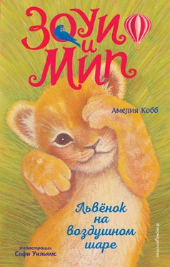 Амелия Кобб Львёнок на воздушном шаре обложка книги