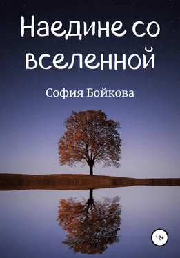 София Бойкова Наедине со вселенной обложка книги