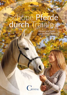 Lisa Kittler Schöne Pferde durch Training обложка книги