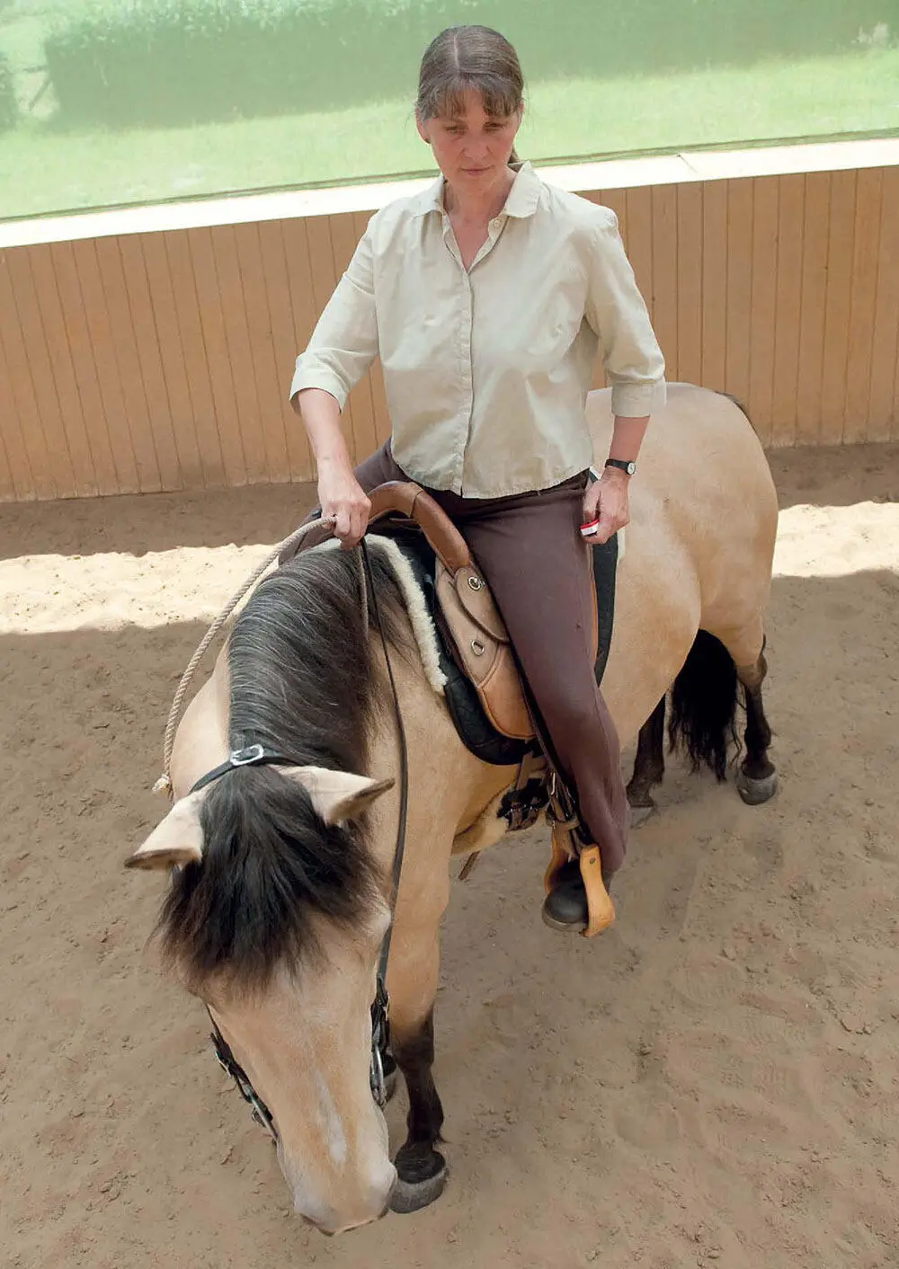 DIE VERSTÄNDIGUNG Für das Reiten mit Halsring ist die Kooperationsbereitschaft - фото 10