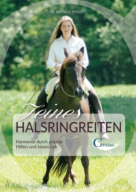 Nathalie Penquitt Feines Halsringreiten обложка книги