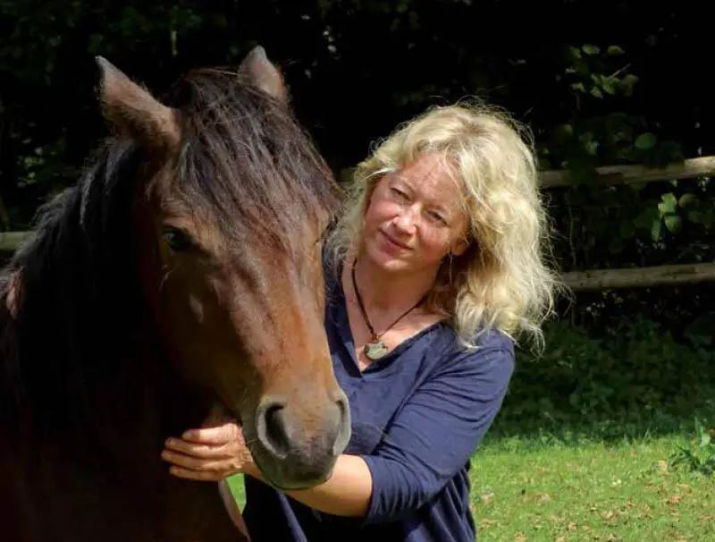 Mensch und Pferd haben sich in der Evolution immer wieder gegenseitig das Leben - фото 30