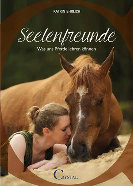 Katrin Ehrlich Seelenfreunde обложка книги