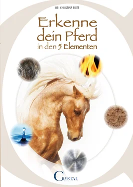 Dr. Christina Fritz Erkenne Dein Pferd in den 5 Elementen обложка книги