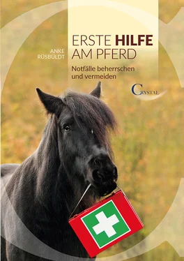 Anke Ruesbueldt Erste Hilfe am Pferd обложка книги
