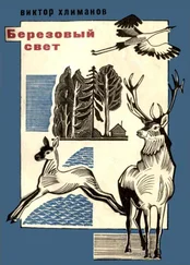 Виктор Хлиманов - Березовый свет