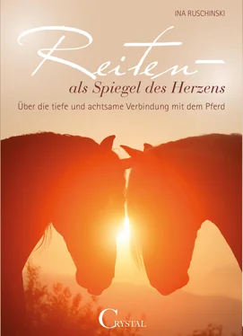 Ina Ruschinski Reiten als Spiegel des Herzens обложка книги