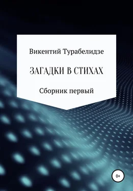 Викентий Турабелидзе Загадки в стихах. Сборник первый обложка книги