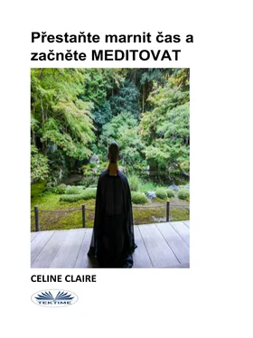 Celine Claire Přestaňte Marnit Čas A Začněte MEDITOVAT обложка книги