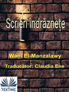 Wael El-Manzalawy Scrieri Îndrăznețe обложка книги