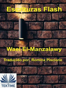 Wael El-Manzalawy Escrituras Flash обложка книги