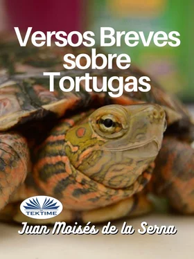 Juan Moisés De La Serna Versos Breves Sobre Tortugas обложка книги