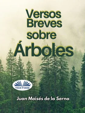 Juan Moisés De La Serna Versos Breves Sobre Árboles обложка книги