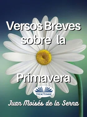 Juan Moisés De La Serna Versos Breves Sobre La Primavera обложка книги