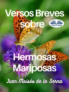 Juan Moisés De La Serna Versos Breves Sobre Hermosas Mariposas обложка книги