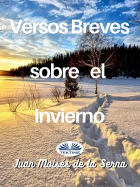 Juan Moisés De La Serna Versos Breves Sobre El Invierno обложка книги