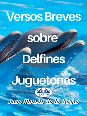 Juan Moisés De La Serna Versos Breves Sobre Delfines Juguetones обложка книги