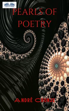 André Cronje Pearls Of Poetry обложка книги