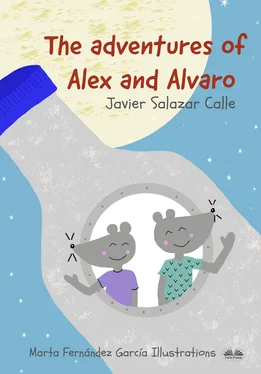 Javier Salazar Calle The Adventures Of Alex And Alvaro обложка книги