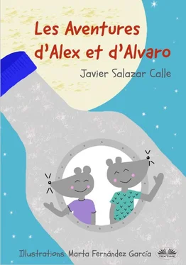 Javier Salazar Calle Les Aventures D’Alex Et D’Alvaro обложка книги