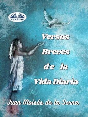 Juan Moisés De La Serna Versos Breves De La Vida Diaria обложка книги