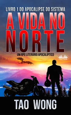 Tao Wong A Vida No Norte обложка книги