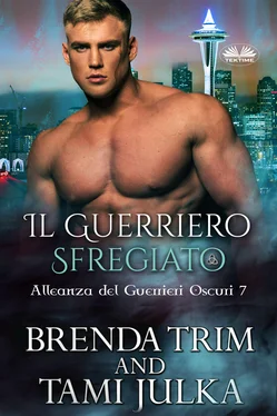 Brenda Trim Il Guerriero Sfregiato обложка книги