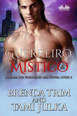 Brenda Trim Guerreiro Místico обложка книги