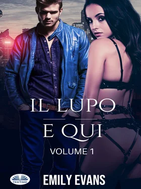 Emily Evans Il Lupo È Qui (Volume 1) обложка книги
