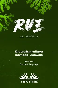 Oluwafunmilayo Inemesit Adewole LE REMORDS обложка книги