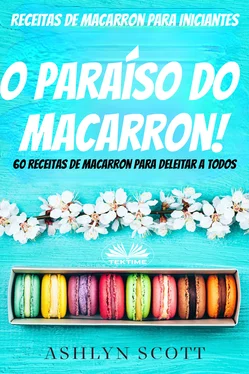 Ashlyn Scott Receitas De Macarron Para Iniciantes обложка книги