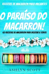 Ashlyn Scott - Receitas De Macarron Para Iniciantes