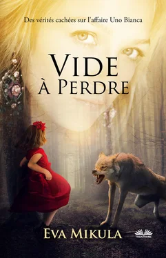 Eva Mikula Vide À Perdre обложка книги