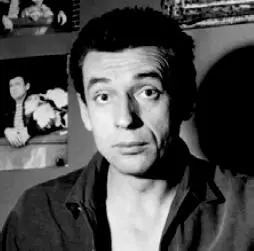 Yves Montand entre el cinema i la caçó Johnny Hallyday i Sylvie Vartan en els - фото 9