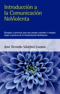 José Gerardo Sánchez Lozano Introducción a la Comunicación NoViolenta обложка книги