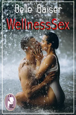 Belle Baiser WellnessSex (Erotik) обложка книги