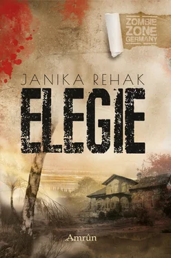 Janika Rehak Zombie Zone Germany: Elegie обложка книги