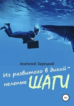 Анатолий Зарецкий Из развитого в дикий – нелепые ШАГИ