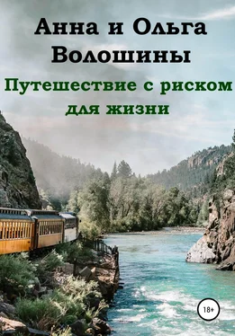 Ольга Волошина Путешествие с риском для жизни обложка книги