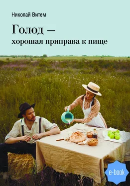 Николай Витем Голод – хорошая приправа к пище обложка книги