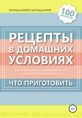 Юлия Штольц - Рецепты в домашних условиях. Что приготовить