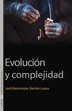 Jordi Bascompte Sacrets Evolución y complejidad обложка книги