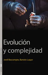 Jordi Bascompte Sacrets - Evolución y complejidad